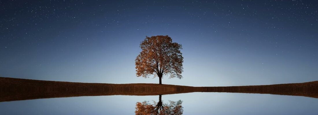 Reflectie, persoonlijke ontwikkeling, leiderschap
